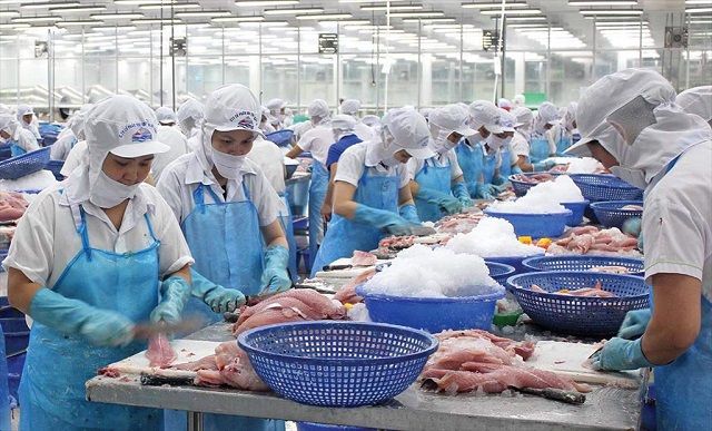 Seafood processing and exporting enterprises' recommendations following a United States intellectual property alert