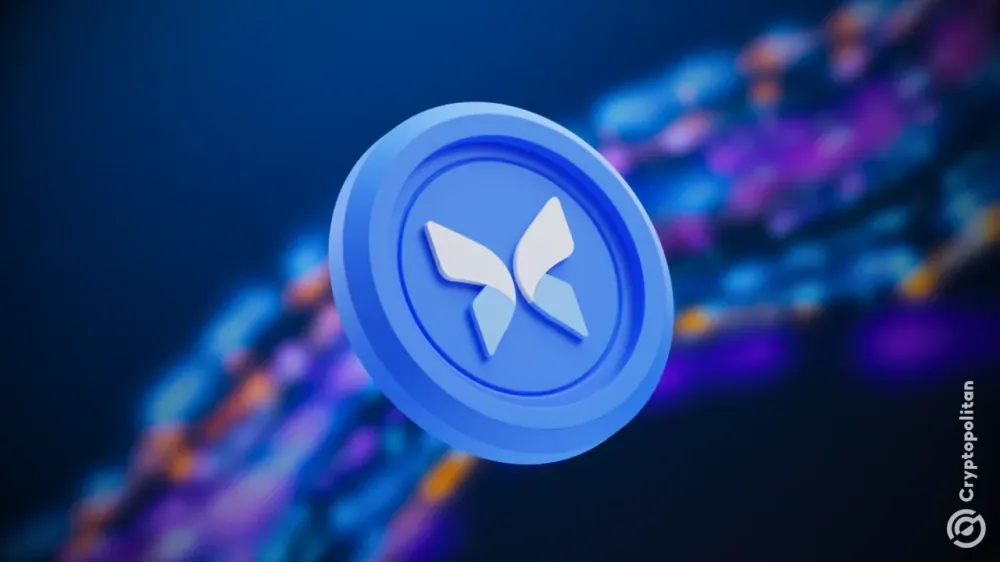 Giao thức DeFi Morpho đóng Discord giữa các vụ lừa đảo lan rộng trên các kênh công khai