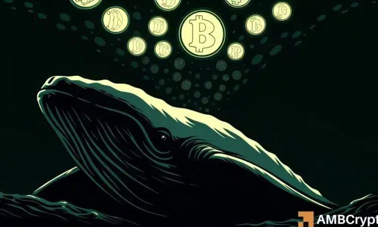 Bitcoin – Cá voi mua 56K BTC khi những người nắm giữ nhỏ bán – Ai đúng lần này?