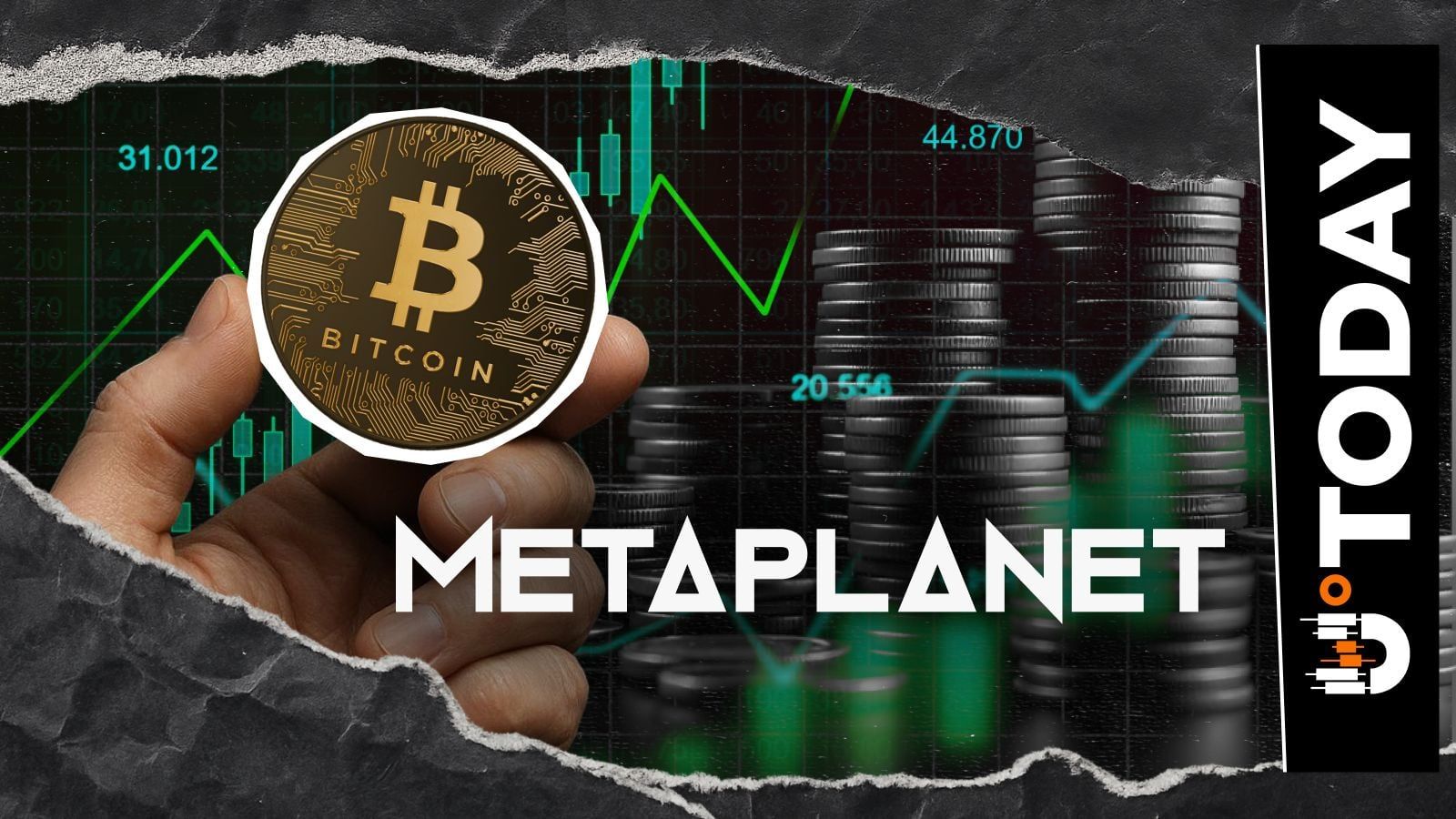Giám đốc Điều hành Metaplanet Nói Về Lý Do Hầu Hết Các Công Ty Bỏ Qua ...